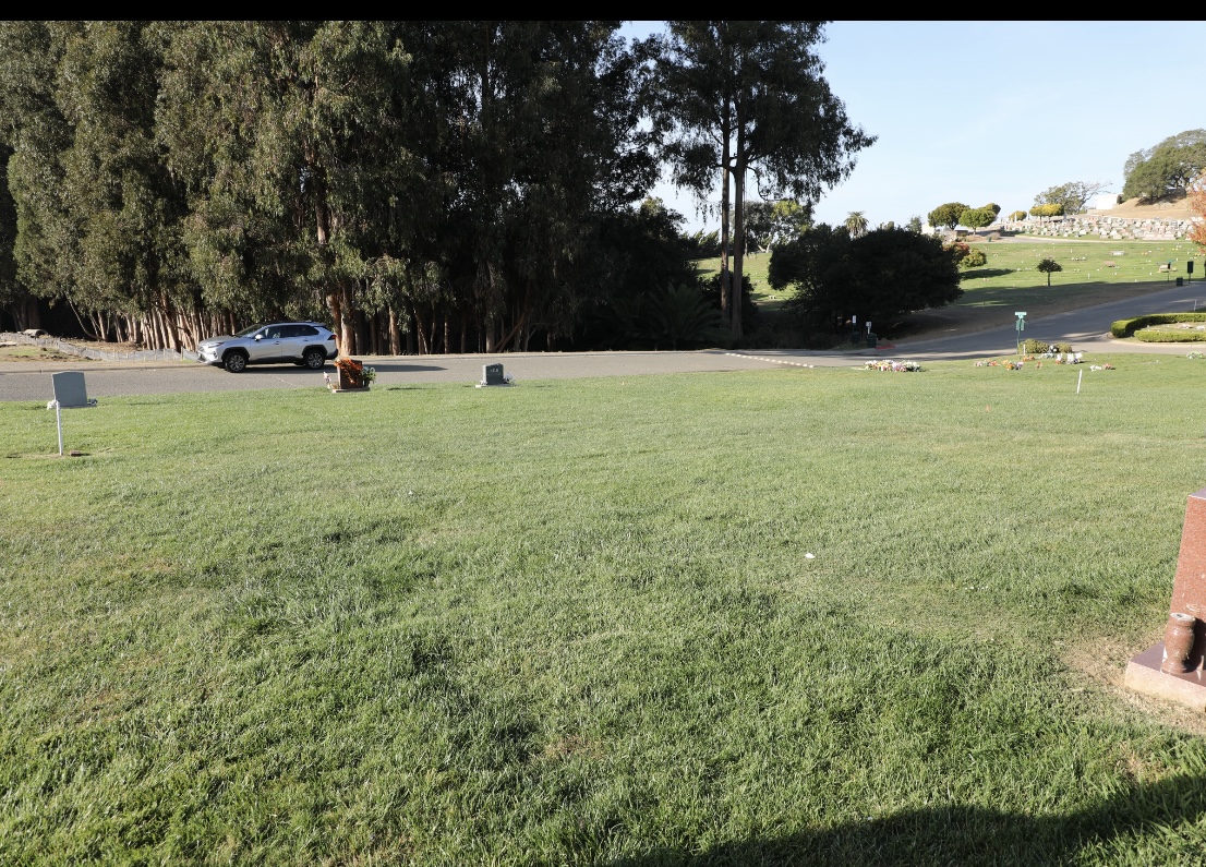 Lone Tree Cemetery Photo 2