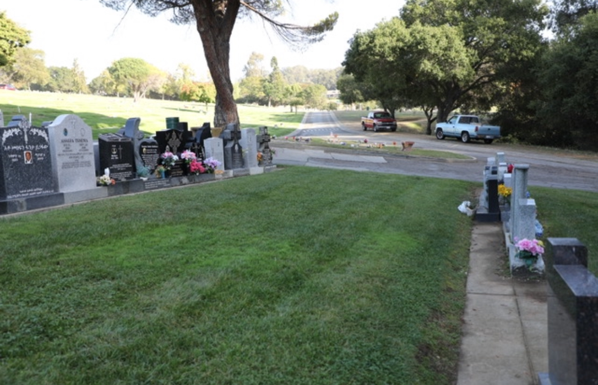 Lone Tree Cemetery Photo 3